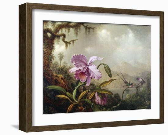 Hummingbirds and Orchids-Martin Johnson Heade-Framed Giclee Print