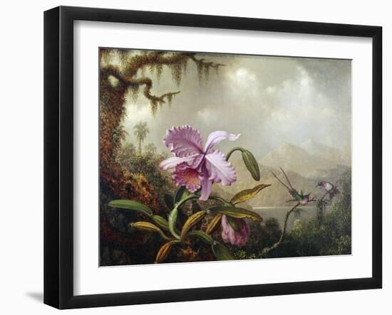 Hummingbirds and Orchids-Martin Johnson Heade-Framed Giclee Print