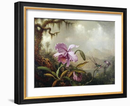 Hummingbirds and Orchids-Martin Johnson Heade-Framed Giclee Print