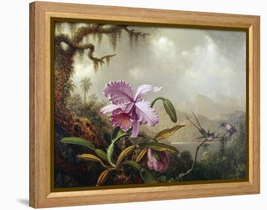 Hummingbirds and Orchids-Martin Johnson Heade-Framed Premier Image Canvas