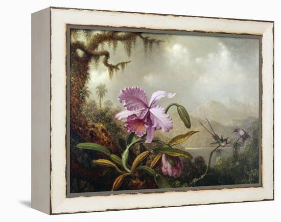 Hummingbirds and Orchids-Martin Johnson Heade-Framed Premier Image Canvas