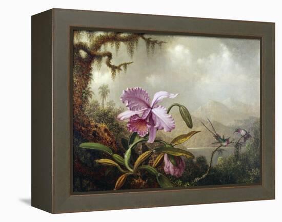 Hummingbirds and Orchids-Martin Johnson Heade-Framed Premier Image Canvas