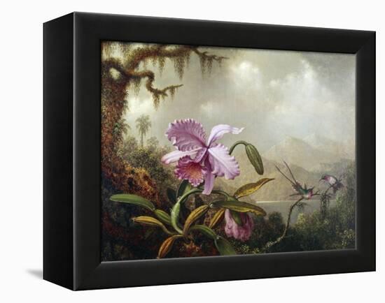 Hummingbirds and Orchids-Martin Johnson Heade-Framed Premier Image Canvas