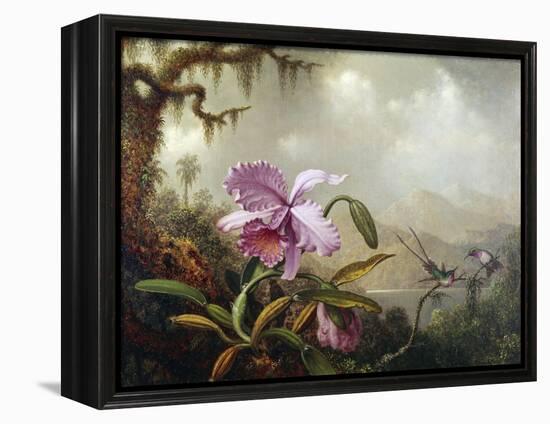 Hummingbirds and Orchids-Martin Johnson Heade-Framed Premier Image Canvas