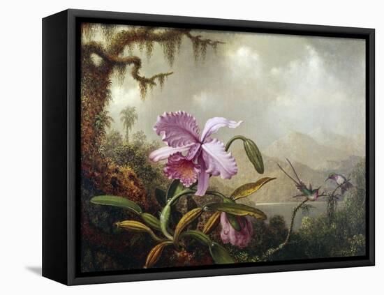 Hummingbirds and Orchids-Martin Johnson Heade-Framed Premier Image Canvas