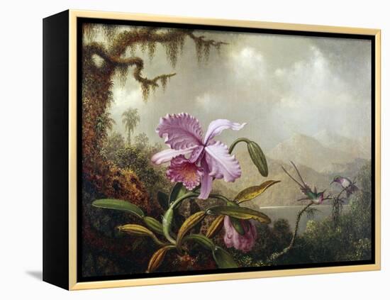 Hummingbirds and Orchids-Martin Johnson Heade-Framed Premier Image Canvas