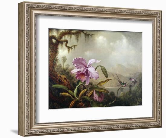 Hummingbirds and Orchids-Martin Johnson Heade-Framed Giclee Print