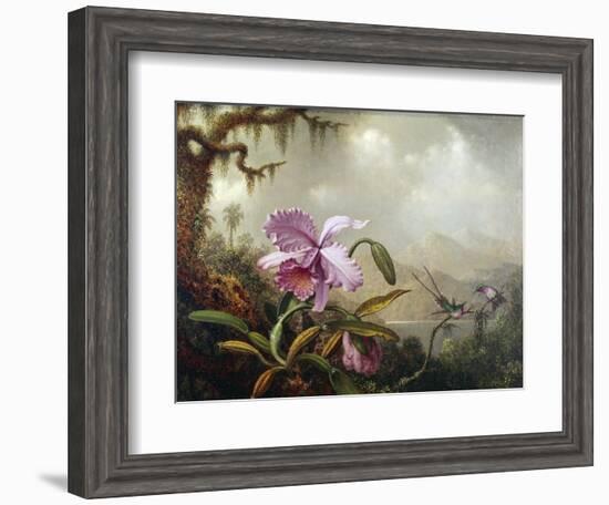 Hummingbirds and Orchids-Martin Johnson Heade-Framed Giclee Print