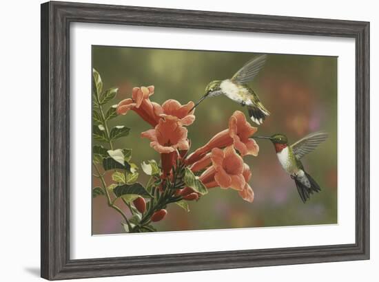 Hummingbirds and Trumpet Flowers-William Vanderdasson-Framed Giclee Print