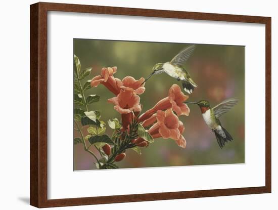 Hummingbirds and Trumpet Flowers-William Vanderdasson-Framed Giclee Print
