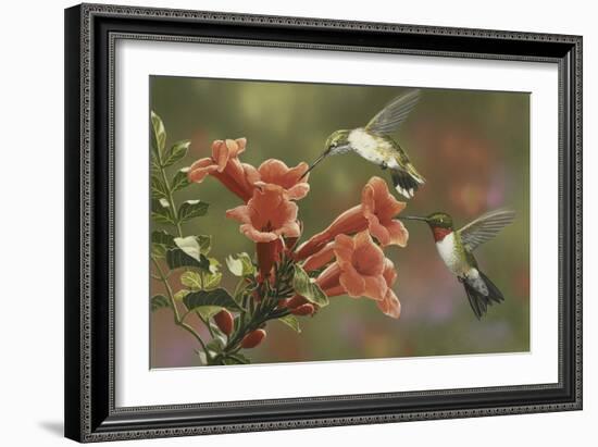 Hummingbirds and Trumpet Flowers-William Vanderdasson-Framed Giclee Print