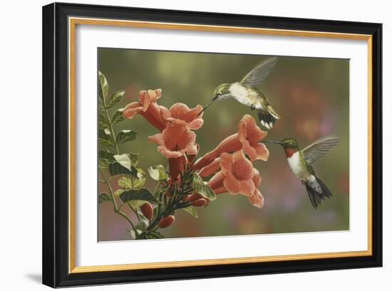 Hummingbirds and Trumpet Flowers-William Vanderdasson-Framed Giclee Print