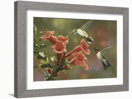 Hummingbirds and Trumpet Flowers-William Vanderdasson-Framed Premium Giclee Print