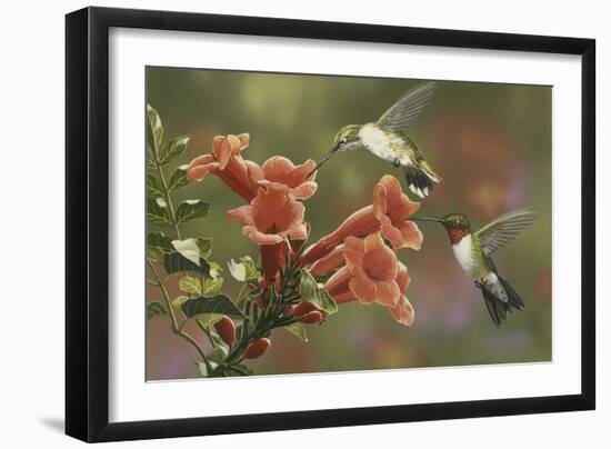 Hummingbirds and Trumpet Flowers-William Vanderdasson-Framed Premium Giclee Print