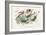 Hummingbirds Chart-Wild Apple Portfolio-Framed Art Print