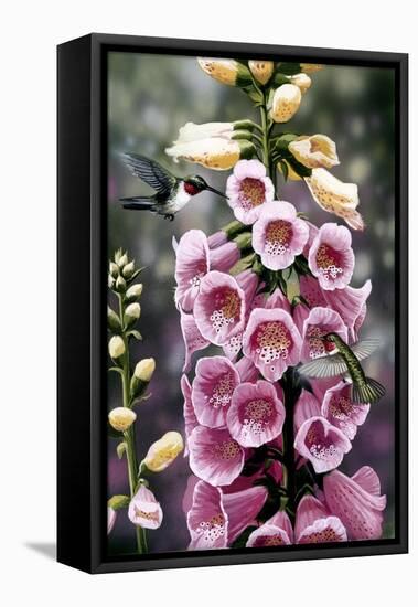 Hummingbirds - Foxgloves-William Vanderdasson-Framed Premier Image Canvas