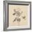 Hummingbirds, from 'Life on Stone', 1832-Mannevillette Elihu Dearing Brown-Framed Giclee Print