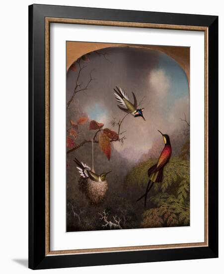 Hummingbirds: Two 'Sungems' and a 'Crimson Topaz', 1866-Martin Johnson Heade-Framed Giclee Print