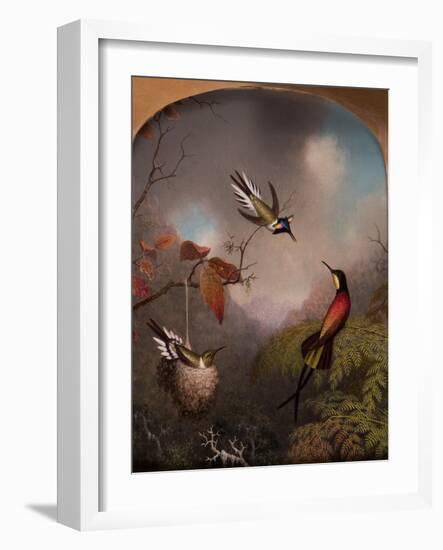 Hummingbirds: Two 'Sungems' and a 'Crimson Topaz', 1866-Martin Johnson Heade-Framed Giclee Print