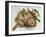 Hummus-Dimitar Lazarov --Framed Photographic Print