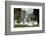 Hump Swan, Cygnus Olor, Mother Animal, Fledgling, Meadow-Ronald Wittek-Framed Photographic Print