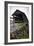 Humpback Bridge III-Alan Hausenflock-Framed Photographic Print