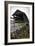 Humpback Bridge III-Alan Hausenflock-Framed Photographic Print