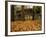 Humpback Covered Bridge, Covington, Virginia, USA-Charles Gurche-Framed Photographic Print