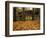 Humpback Covered Bridge, Covington, Virginia, USA-Charles Gurche-Framed Photographic Print