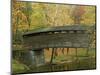 Humpback Covered Bridge, Covington, Virginia, USA-Charles Gurche-Mounted Photographic Print