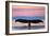 Humpback Fluke and Sunset-Lantern Press-Framed Art Print