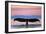 Humpback Fluke and Sunset-Lantern Press-Framed Art Print