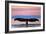 Humpback Fluke and Sunset-Lantern Press-Framed Art Print