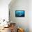 Humpback Snapper School (Lutjanus Gibbus) Indian Ocean-Reinhard Dirscherl-Framed Premier Image Canvas displayed on a wall