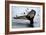 Humpback Thumbprint-Howard Ruby-Framed Photographic Print