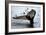 Humpback Thumbprint-Howard Ruby-Framed Photographic Print