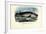 Humpback Whale, 1863-79-Raimundo Petraroja-Framed Giclee Print