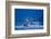 Humpback Whale, Alaska-null-Framed Photographic Print