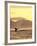 Humpback Whale at Sunset, Inside Passage, Alaska, USA-Stuart Westmoreland-Framed Photographic Print