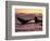 Humpback Whale at Sunset, Inside Passage, Alaska, USA-Stuart Westmoreland-Framed Photographic Print