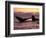 Humpback Whale at Sunset, Inside Passage, Alaska, USA-Stuart Westmoreland-Framed Photographic Print