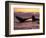 Humpback Whale at Sunset, Inside Passage, Alaska, USA-Stuart Westmoreland-Framed Photographic Print