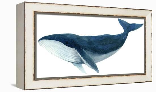 Humpback Whale - Blue-Jeannine Saylor-Framed Stretched Canvas