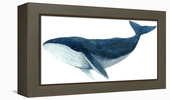 Humpback Whale - Blue-Jeannine Saylor-Framed Stretched Canvas