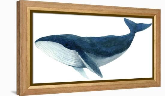 Humpback Whale - Blue-Jeannine Saylor-Framed Stretched Canvas