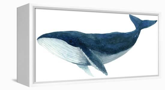 Humpback Whale - Blue-Jeannine Saylor-Framed Stretched Canvas