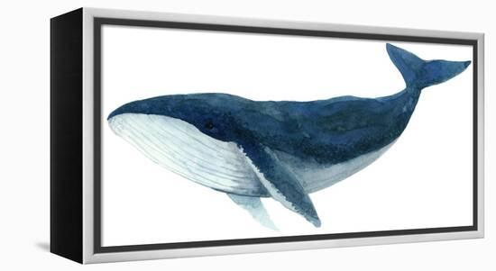 Humpback Whale - Blue-Jeannine Saylor-Framed Stretched Canvas