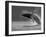 Humpback Whale Breaching, Chatham Strait, Angoon, Tongass National Forest, Alaska, Usa-Paul Souders-Framed Photographic Print