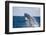 Humpback Whale Breaching from the Atlantic Ocean-DLILLC-Framed Photographic Print