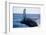 Humpback Whale Breaching from the Atlantic Ocean-DLILLC-Framed Photographic Print